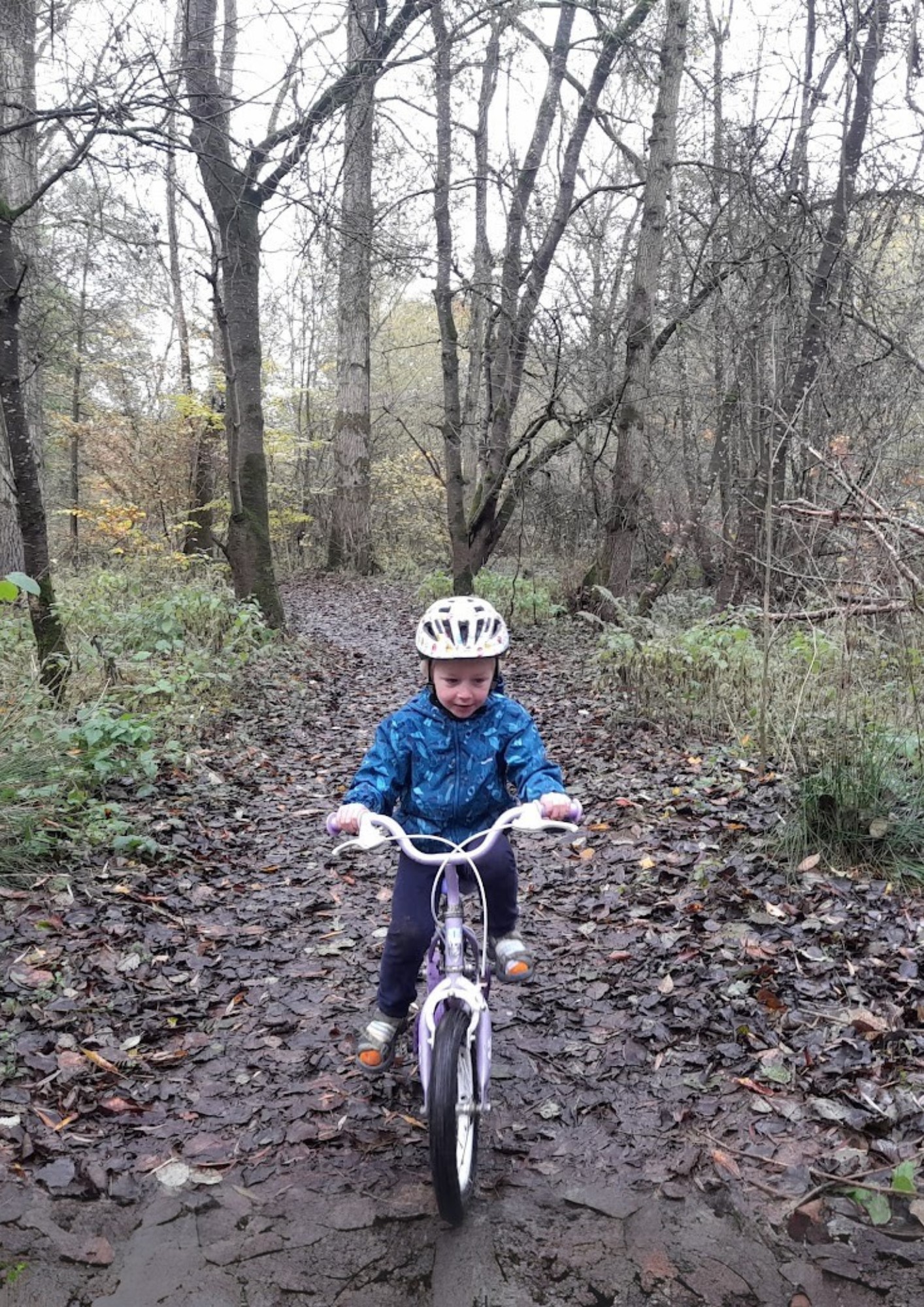 A boy rides his bike in a misty wood.