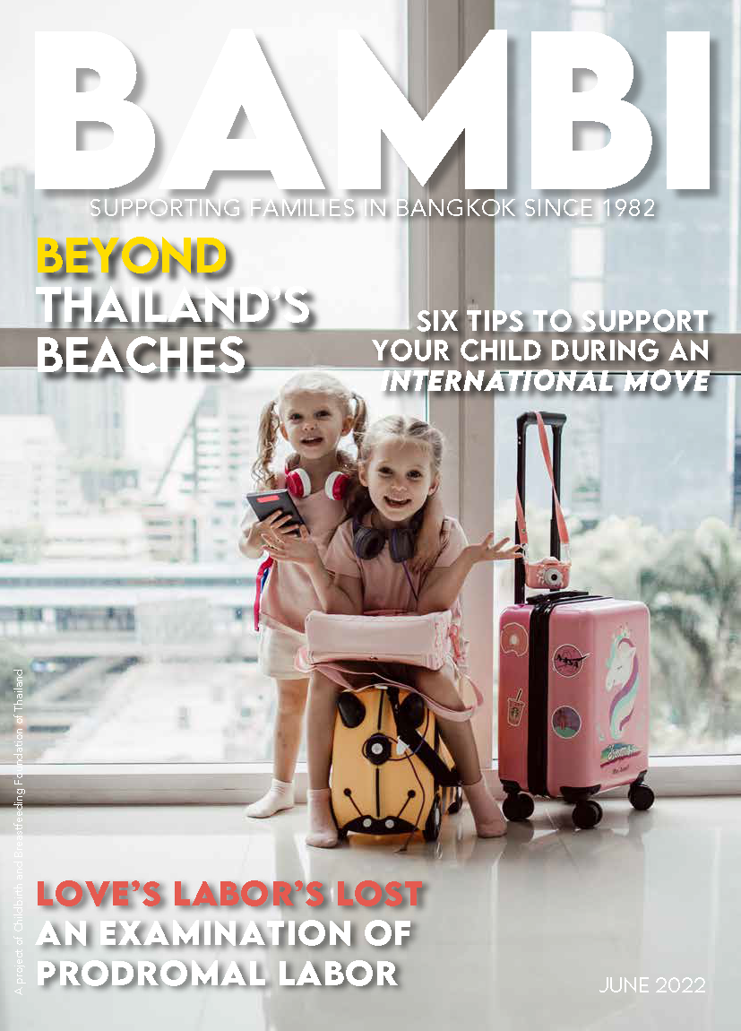 Cover of BAMBI Magazine June 2022 issue