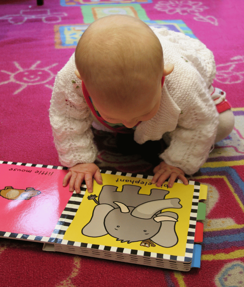Baby reading a picture book