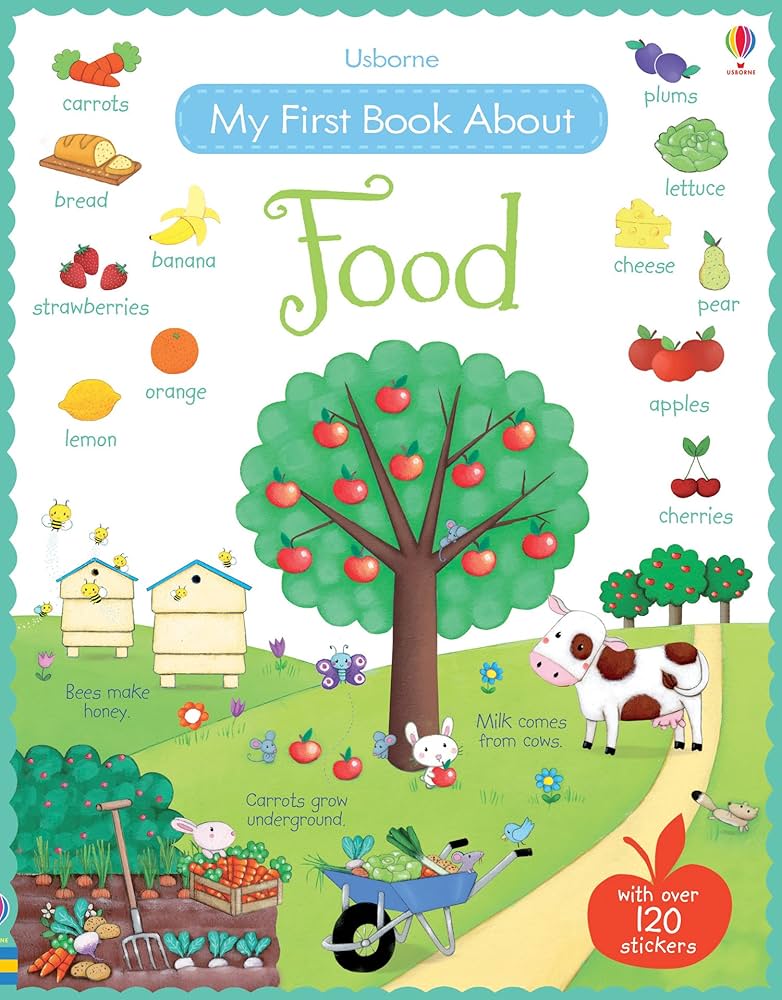 Usborne My First Book About Food