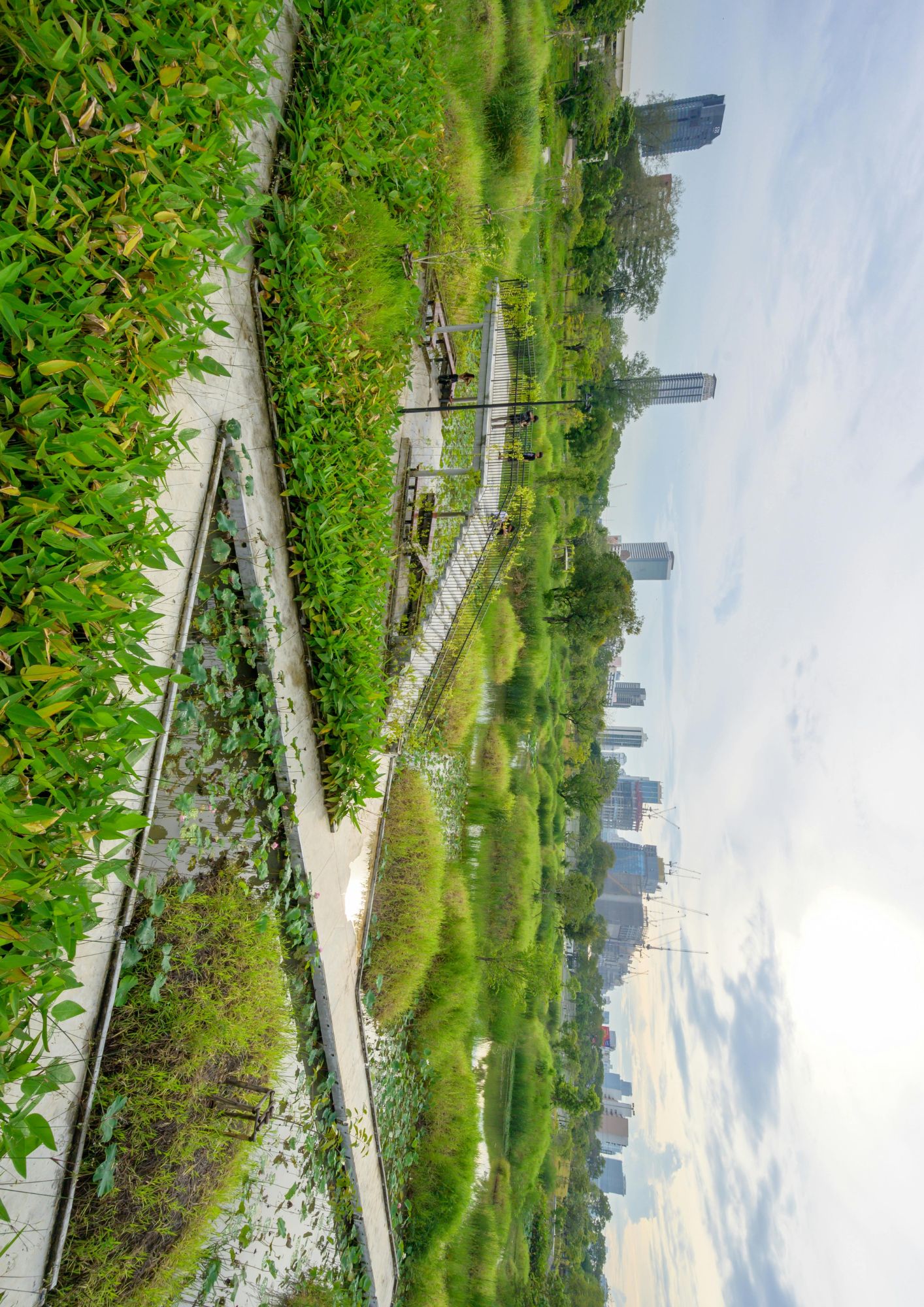 Bangkok landscape