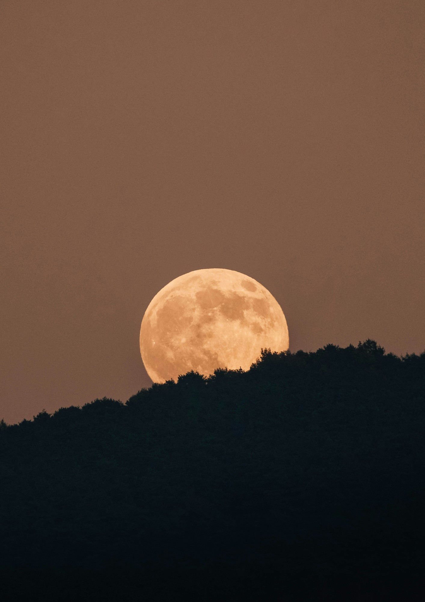 the moon rises