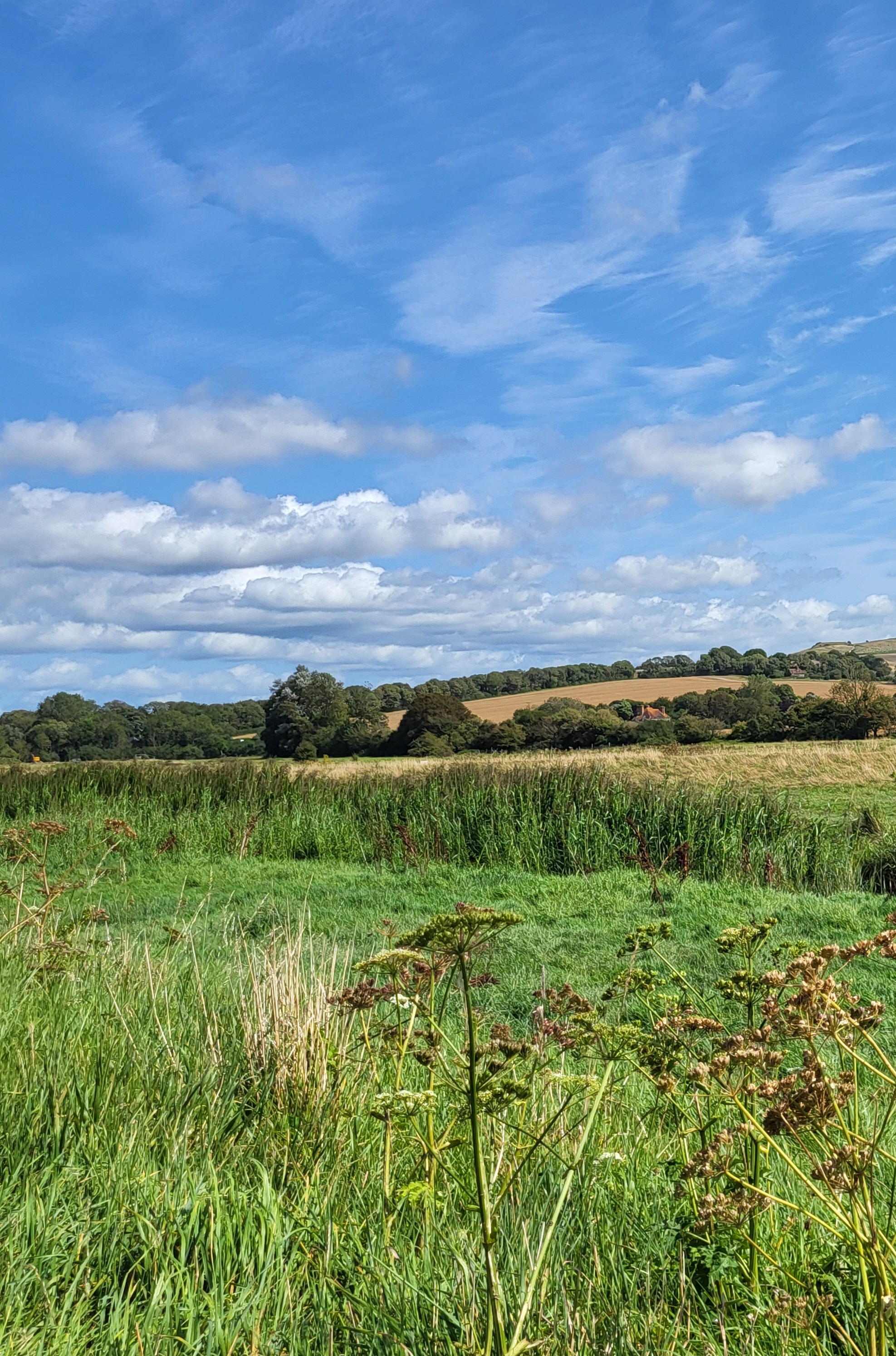 The Sussex countryside under a blue sky.