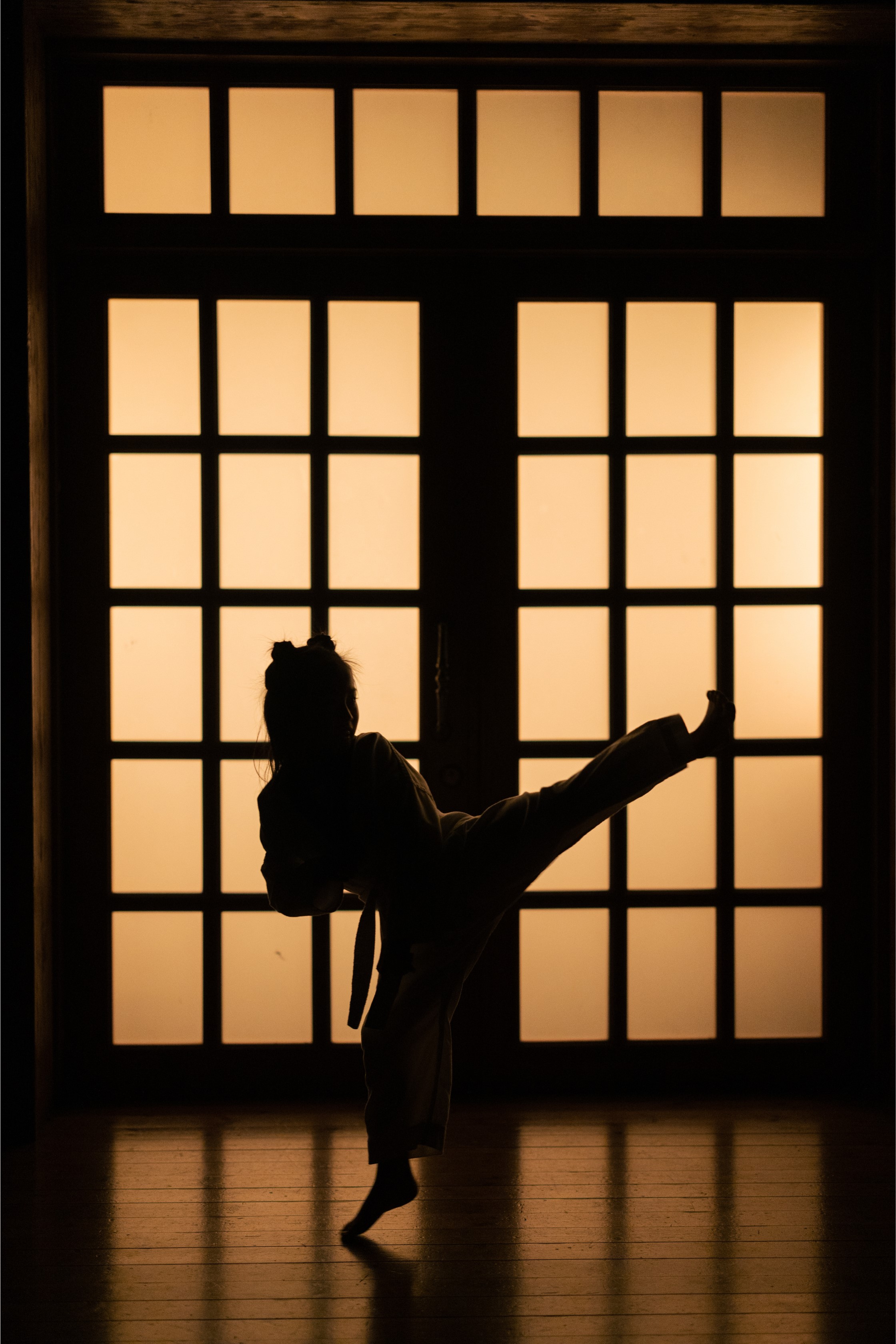 A shadow of a girl practicing martial arts.