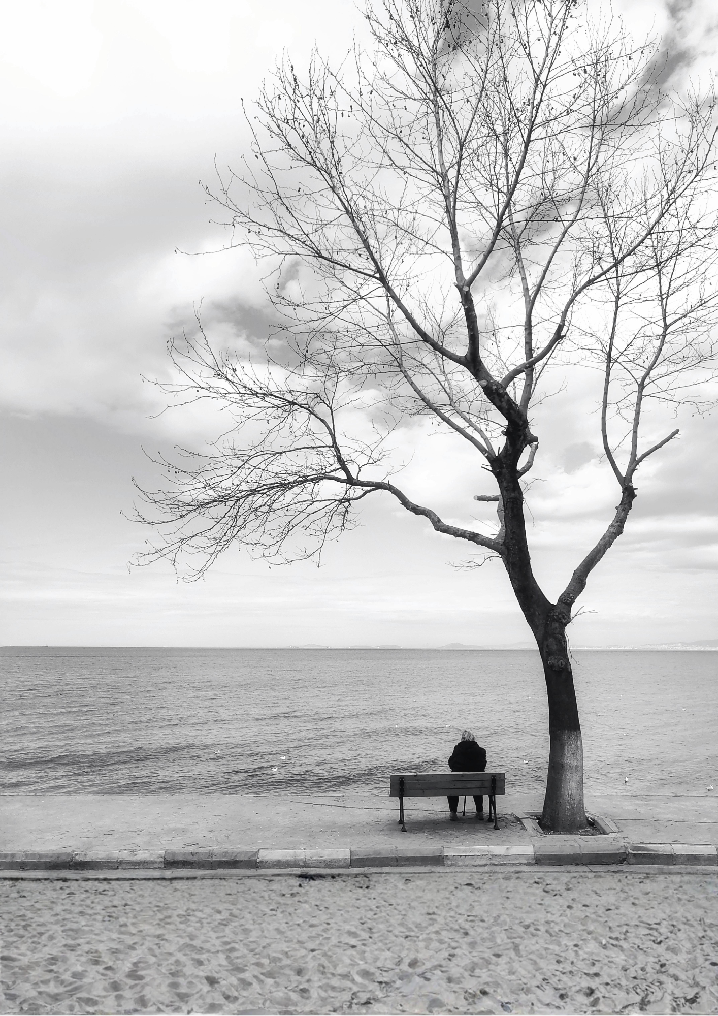 A black and white tree